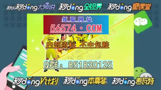 澳门一肖一码一一子，详细解答、详细解答解释落实